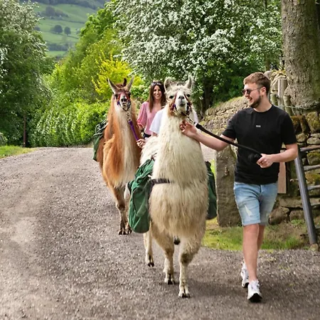 公寓 House 2 - Stylish Flat