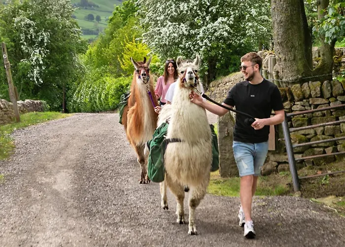 Apartment House 2 - Stylish Flat